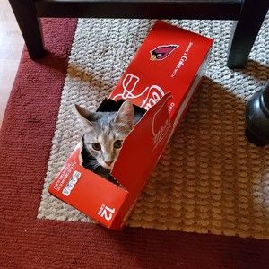 Meet your Posher, Patti